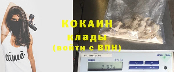 прущие грибы Алексин