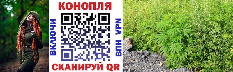 купить наркотик  Саянск  Шишки марихуана AK-47 